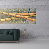 Bamboos
